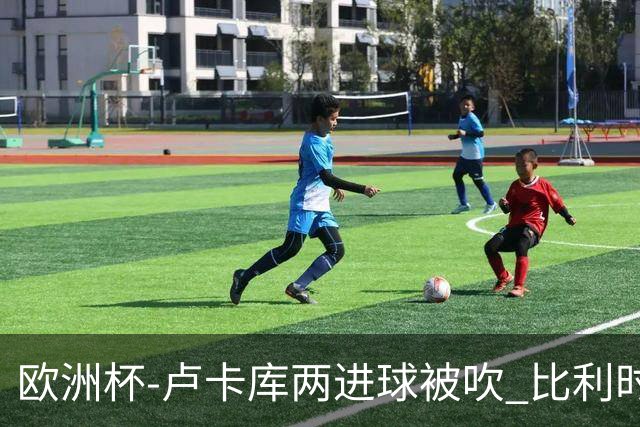 欧洲杯-卢卡库两进球被吹 比利时0-1斯洛伐克